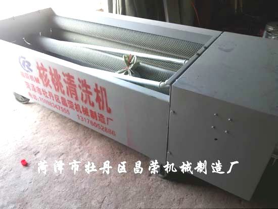 核桃清洗機(jī)