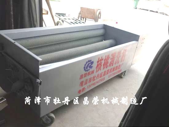 核桃清洗機(jī)