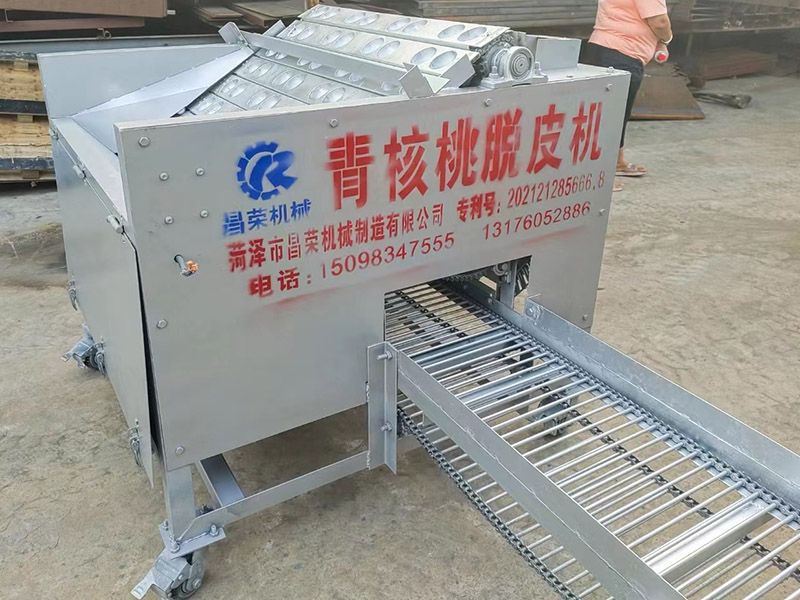 核桃清洗機